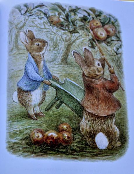 Beatrix Potter;s Gardening Life