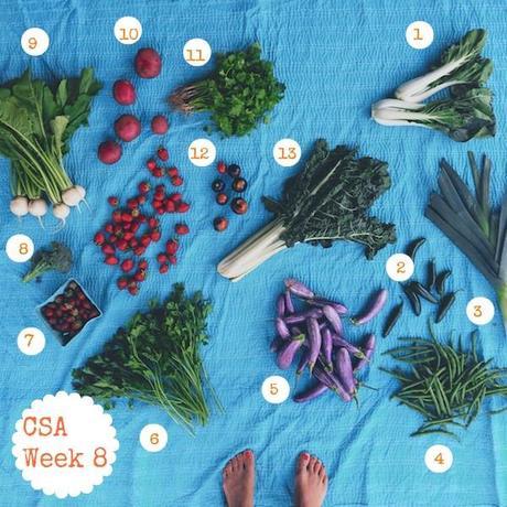 csa week 8_FeedMeDearly