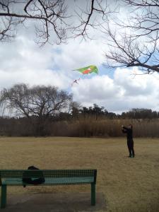 an instant of life captured for eternity DSC00935