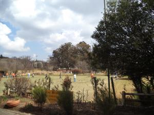 an instant of life captured for eternity DSC00956