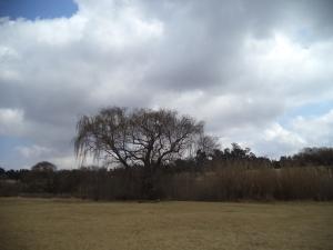 an instant of life captured for eternity DSC00924