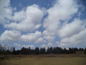 an instant of life captured for eternity DSC00937