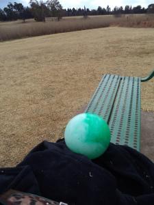 an instant of life captured for eternity DSC00942