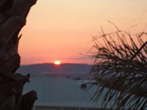 an instant of life captured for eternity DSC00961