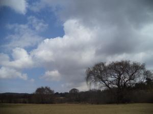 an instant of life captured for eternity DSC00925