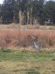 an instant of life captured for eternity DSC00922