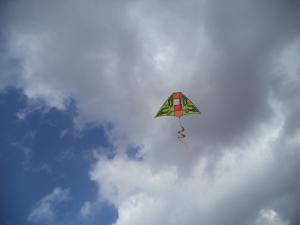 an instant of life captured for eternity DSC00936