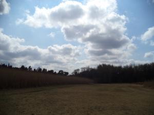 an instant of life captured for eternity DSC00939