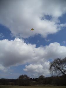 an instant of life captured for eternity DSC00941