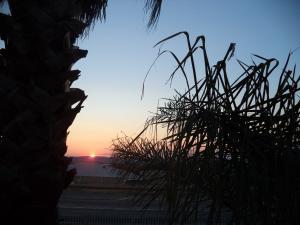 an instant of life captured for eternity DSC00960