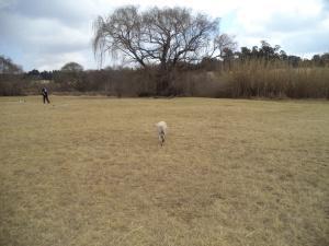 an instant of life captured for eternity DSC00932