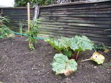 Becoming a 21st-Century Smallholder