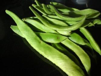 Becoming a 21st-Century Smallholder