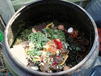 Becoming a 21st-Century Smallholder