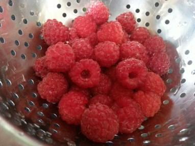 Becoming a 21st-Century Smallholder