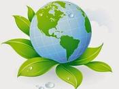 Simple Ways Eco-friendly Home