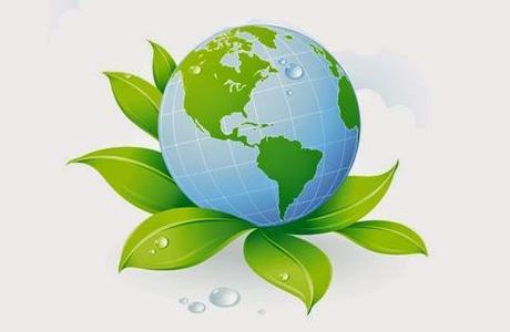 Simple Ways to go Eco-friendly at Home