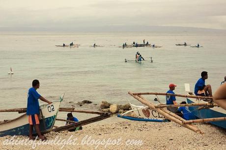 Swimming with the Whale Sharks of Oslob, Cebu