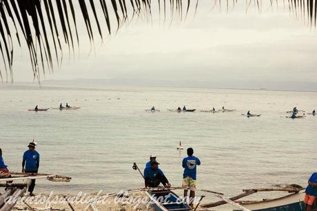 Swimming with the Whale Sharks of Oslob, Cebu