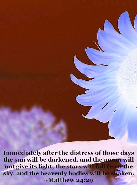 The Wrath of the Lamb