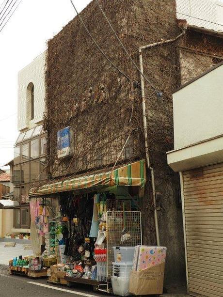 P1050071 再開発に消えゆく下町，東池袋 / Higashi Ikebukuro, unpretentious streets and houses are disappearing