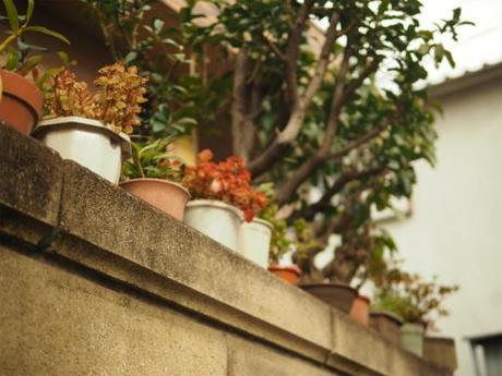 P1050088 再開発に消えゆく下町，東池袋 / Higashi Ikebukuro, unpretentious streets and houses are disappearing