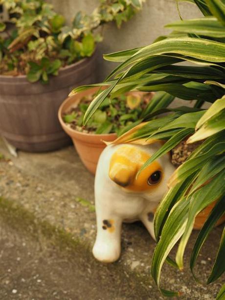 P1050007 再開発に消えゆく下町，東池袋 / Higashi Ikebukuro, unpretentious streets and houses are disappearing