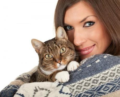 Things To Remember For New Cat Owners Things to remember for new cat owners