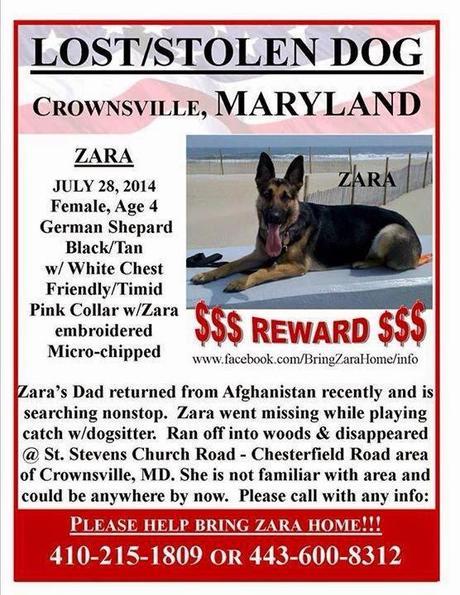 National Guard's dog suspected stolen and still missing in Maryland