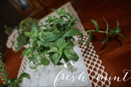 Flower + Herb Arrangement