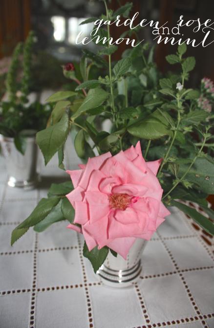 Flower + Herb Arrangement