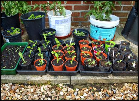 A rant about poor compost