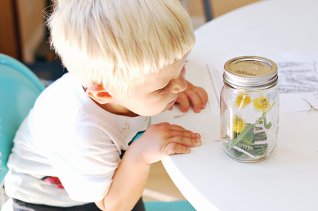 Tot School: Make Your Own Fireflies In A Jar And A Printable