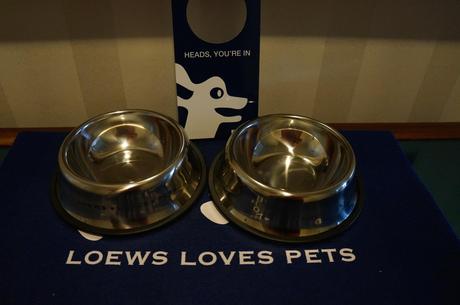 Loews Dog Bowls