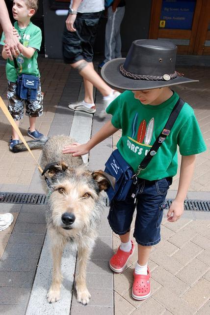 Oliver the Dog Whisperer finds the first dog to pose with on our trip-- more are coming.