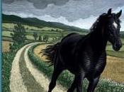 Review: Black Beauty Anna Sewell