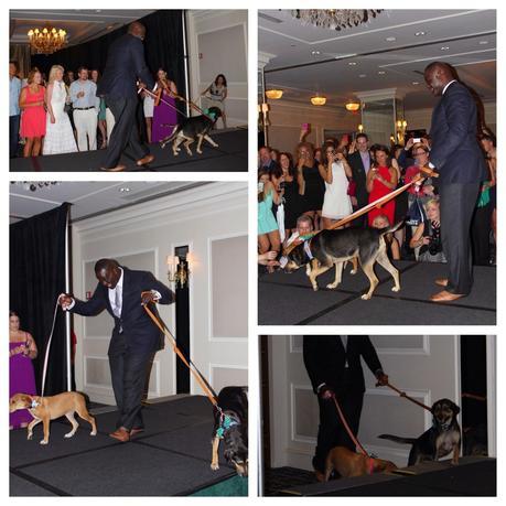 An Evening at #RescueTheRunway