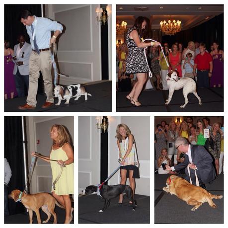 An Evening at #RescueTheRunway