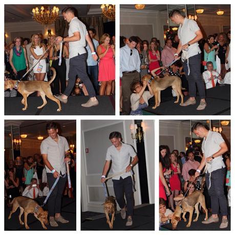 An Evening at #RescueTheRunway