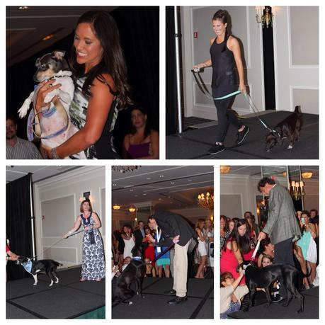 An Evening at #RescueTheRunway