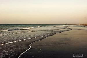 10426320_10152094112466971_6141668786331308661_n