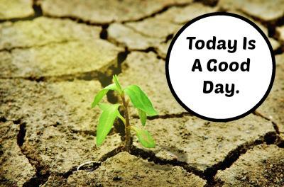 Today Is A Good Day | LazyHippieMama.com