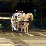 A Nighttime Horse Carriage Drive