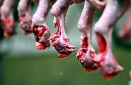 meat industry gross
