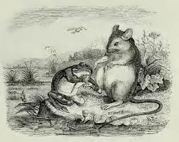 The Mouse and the Frog