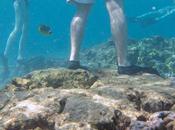Marine Protected Areas Might Enough Help Overfished Reefs Recover
