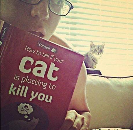 Top 10 Images of Cats Plotting to Kill People