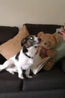 Ralph's Top 10 Blogged Band Chart - 23.8.14