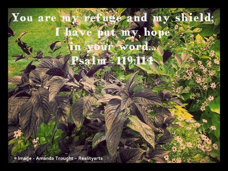 Word for the Week - Psalm 119:14