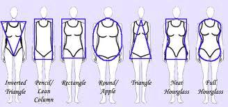 Body Shapes